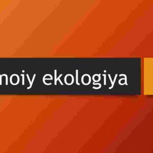 Ijtimoiy ekologiya