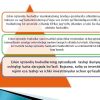 AQShda tashkil etilgan erkin iqtisodiy zo'nalar - Image 2