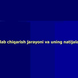 Ishlab chiqarish jarayoni va uning natijalari