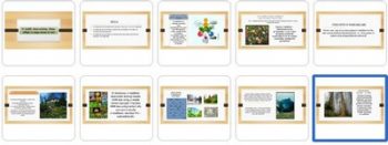 o'simlik-dunyosining-xilma-xiligi