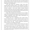 Auditorlik faoliyatining rivojlanish bosqichlari - Image 2