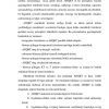 Axborotni himoya qilish tizimini tashkil qilishning asosiy tamoyillari - Image 4