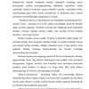 Informatsion texnologiya-tizim sifatida