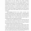 XX asr boshlarida Amerika adabiyoti - Image 4
