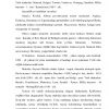 Amerika mamlakatlari turizm markazlari - Image 3