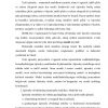 Dаstlаbki tushunchаlаr - Image 2