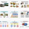 Marketing fanidan o'quv-uslubiy va tarqatma materiallar