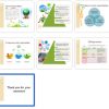 Social responsibility policies