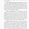 Yaponiya - Image 3