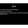 Erkin iqtisodiyot zonalar rivojlanish ko'rsatkichlari - Image 2