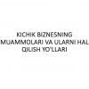 Kichik biznesning muammolari va ularni hal qilish yo'llari