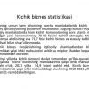 Kichik biznesning muammolari va ularni hal qilish yo'llari - Image 3
