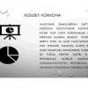Korxonalarni tasniflash - Image 4
