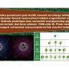 Kvant mexanikasi va kvant sonlari. Elektron qavatlarining elektronlar bilan to'lib borish tartibi - Image 3