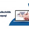 Mulkchilik huquqi