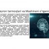 Neyron tarmoqlar ma'lumotlarni tahlil qilishning zamonaviy vositasi sifatida. Prinsip neyron tarmoqlarning harakatlari. - Image 4