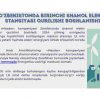 O'zbekistonda shamol elektr stansiyalari imkoniyatlari - Image 4