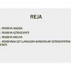 Rossiya - Image 2