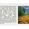 Rossiya - Image 4