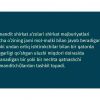 Xo'jalik shirkatlari, ularni tashkil etish, faoliyatni olib borish va tugatish xususiyatlari - Image 3