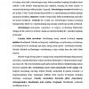 Falsafaning metod, qonun va kategoriyalari - Image 2