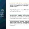Mahsulot sifatini ta'minlash va boshqarish. Sifat menejment tizimi - Image 3