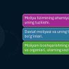 Moliyaviy tizim va moliyaviy boshqaruv - Image 2