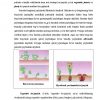 Novdaning о'sishi va shoxlanishi - Image 2