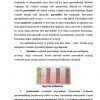 Novdaning о'sishi va shoxlanishi - Image 4