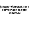 Tijorat banklarining resurslari va bank kapitali