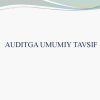 Auditga umumiy tavsif