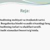 Auditga umumiy tavsif - Image 2