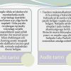 Auditga umumiy tavsif - Image 5