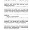 B2C ommaviy axborot vositalarining rivojlanishi (xaridorlar uchun korporativ media) va ularning reklama bozoriga ta'siri - Image 3