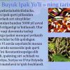 BUYUK IPAK YO’LI  - Image 3