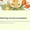 Urug' kurtagining joylashuvi - Image 4