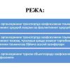 Ichki ishlar organlarining transport va turizm ob'ektlarida xavfsizlikni ta'minlash faoliyati - Image 2