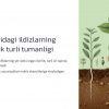 Ildizning birlamchi va ikkilamchi ichki tuzilishi - Image 4