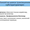 Jinoyatchi shaxsi psixologiyasi - Image 4