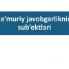 Ma'muriy javobgarlikning sub'ektlari