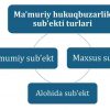 Ma'muriy javobgarlikning sub'ektlari - Image 2