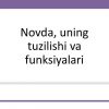Novda, uning tuzilishi va funksiyalari