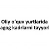 Oliy o'quv yurtlarida pedagog kadrlarni tayyorlash