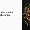 O'simliklarning urug'lar yordamida ko'payishi