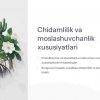 O'simliklarning yashash sharoitiga moslanishlari - Image 2