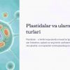 Plastidalar, ularning turlari va kimyoviy tarkibi - Image 4