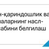 Qon-qarindoshlik va bolalarning nasl-nasabini belgilash
