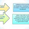 Reyting tizimini tashkil qilish va yakuniy davlat attestasiyalarini topshirish tartibi - Image 4