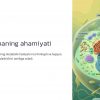 Sitoplazma va uning harakati - Image 2