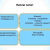 Talabalarning o'quv, ilmiy-tadqiqot ishlari va ularni tashkil qilish - Image 2